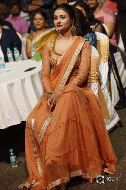 Rogue-Movie-Audio-Launch